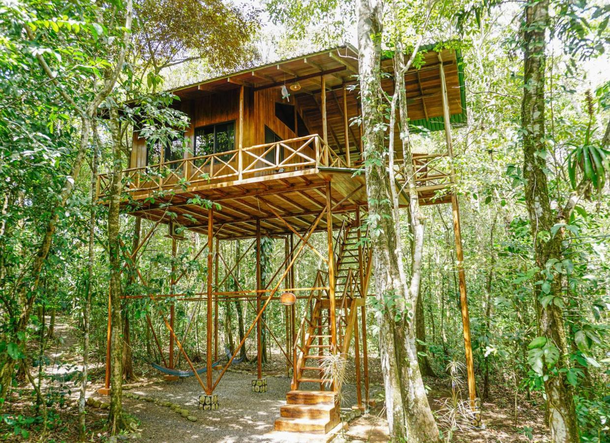 Tree Houses Hotel Costa Rica Florencia Exterior foto