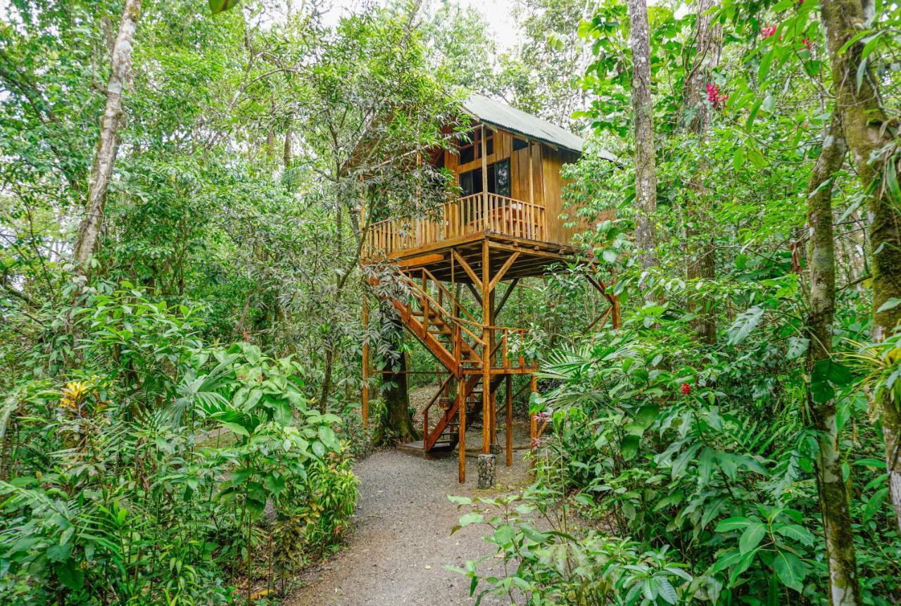 Tree Houses Hotel Costa Rica Florencia Exterior foto