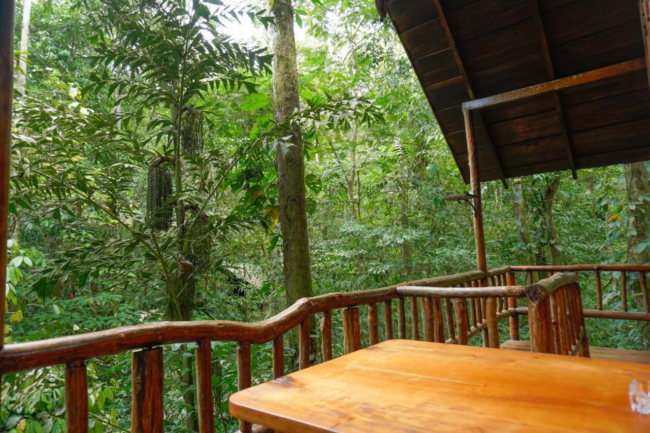 Tree Houses Hotel Costa Rica Florencia Exterior foto